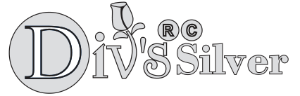 Div's Silver